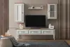 Konstantinopolis TV Ünitesi